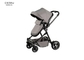 Pushchair/Stroller (Birth to 3 Years Approx, 0-15 kg), Lightweight with Compact Fold